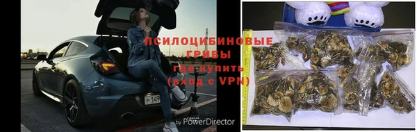 мескалин Абаза