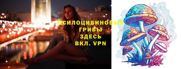 скорость Алексин