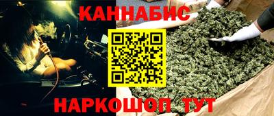 индика Моздок