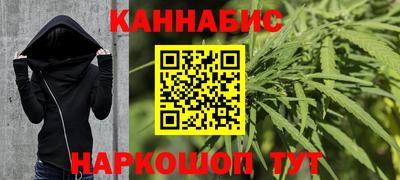 индика Моздок