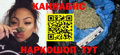 индика Моздок