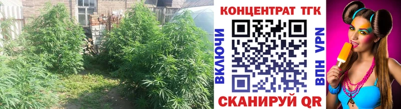 ТГК гашишное масло  Тавда 