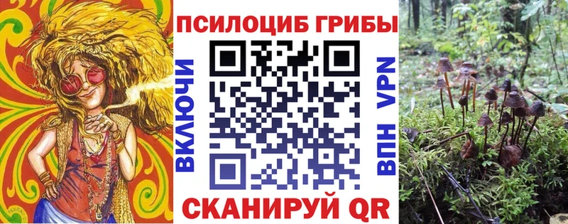 где купить наркоту Тавда Галлюциногенные грибы Psilocybe