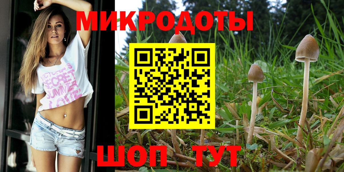 Галлюциногенные грибы ЛСД  наркошоп  Псилоцибиновые грибы MAGIC MUSHROOMS  Тавда  Вход с VPN 